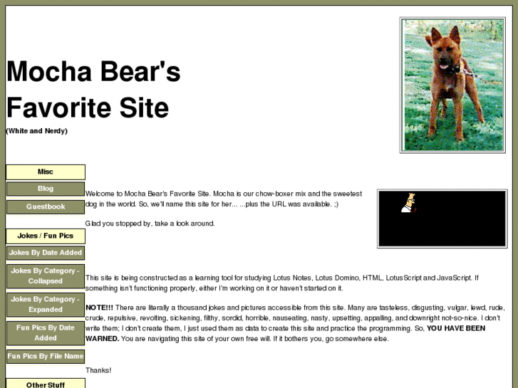 www.mochabear.com