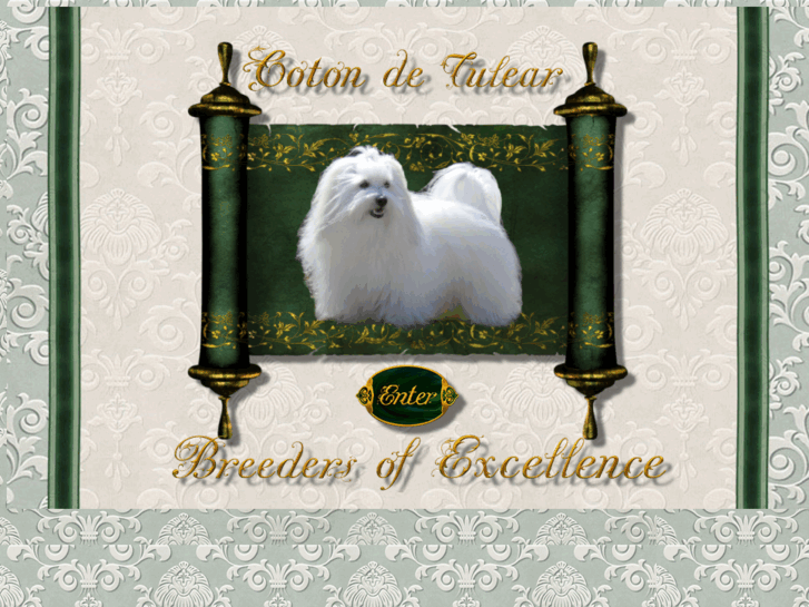 www.royalcotondetulearbreeders.com