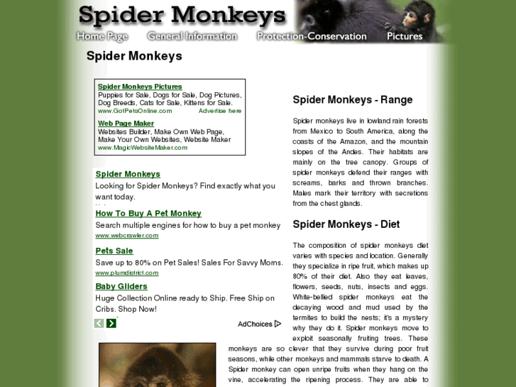 www.spider-monkeys.com