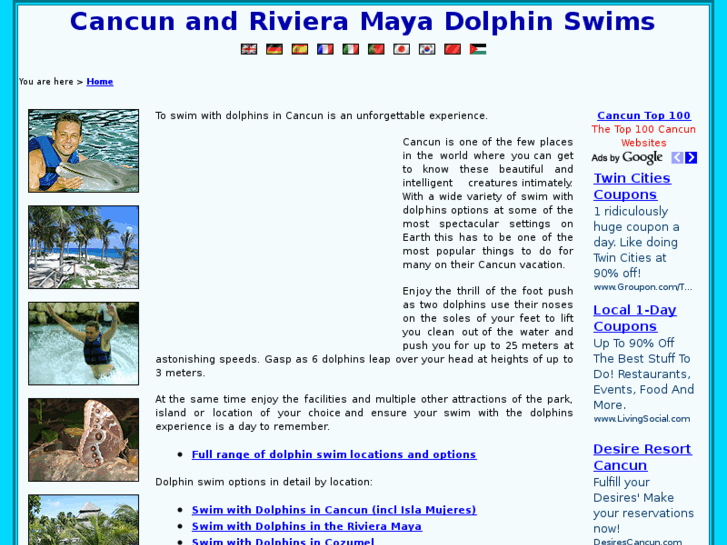 www.swim-dolphins-cancun.com