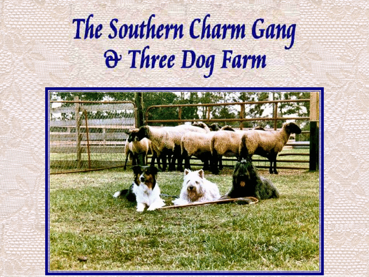 www.threedogfarm.com