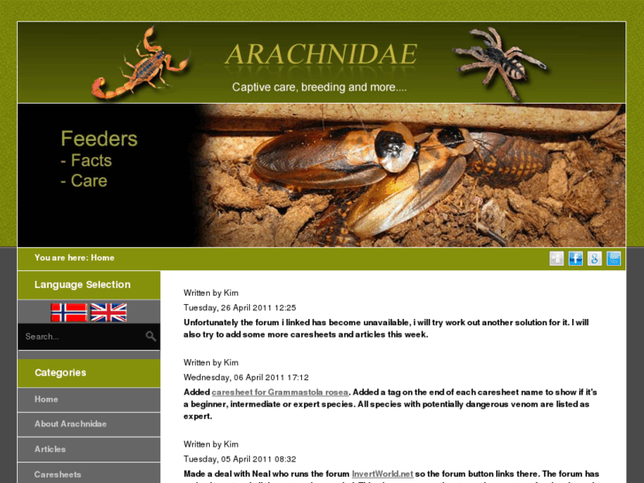 www.arachnidae.net