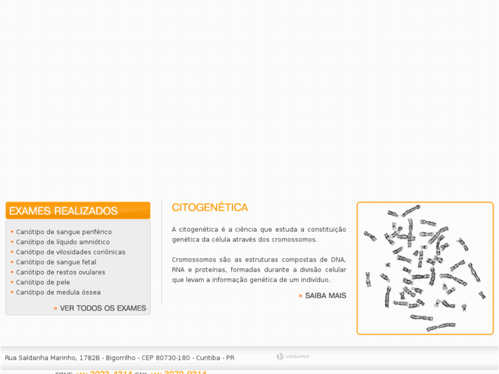 www.citogene.com.br