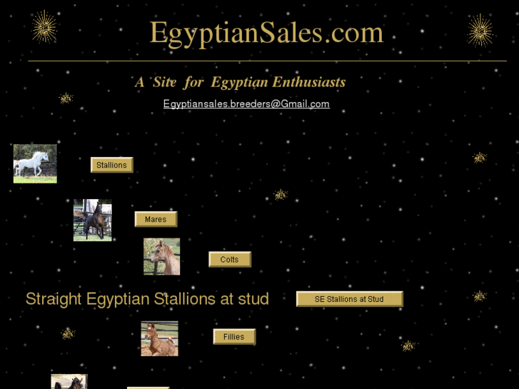 www.egyptiansales.com