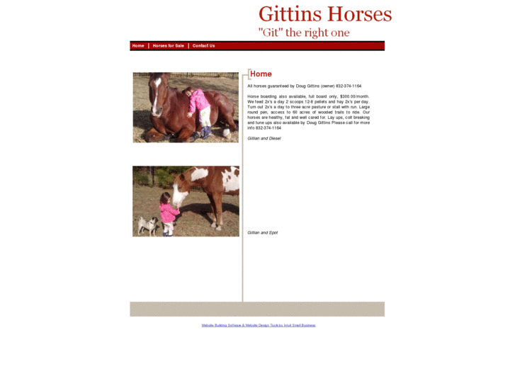 www.gittinshorses.net