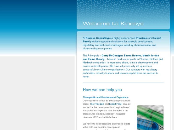 www.kinesysconsulting.com