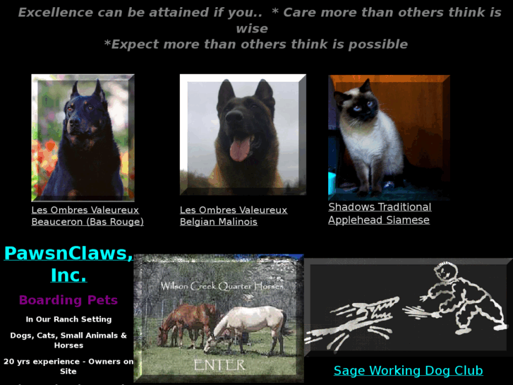 www.pawsnclaws.us