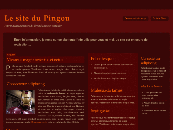 www.pingou.org