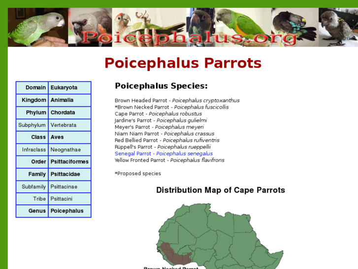 www.poicephalus.org