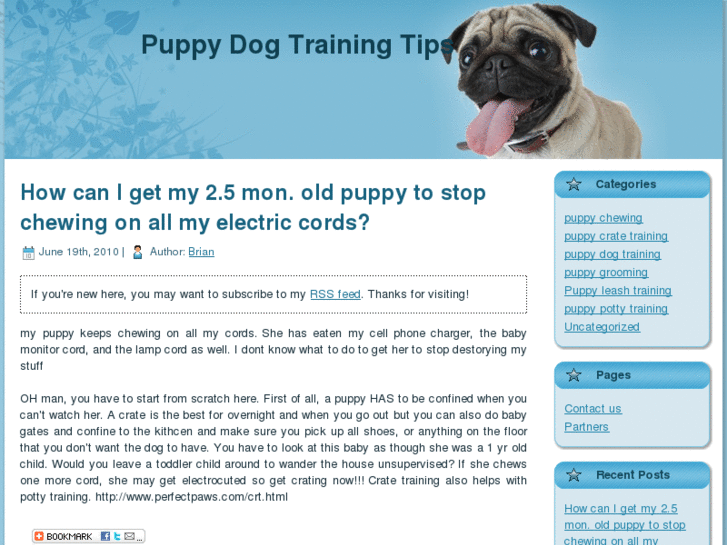 www.puppydogtrainingtipstoday.com