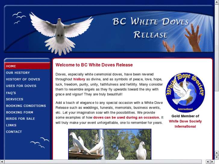 www.bcwhitedovesrelease.com