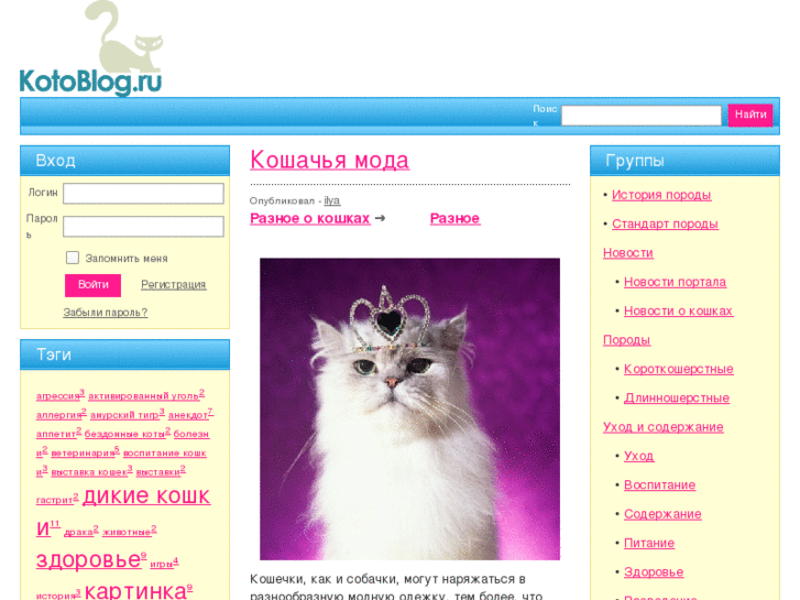 www.kotoblog.ru