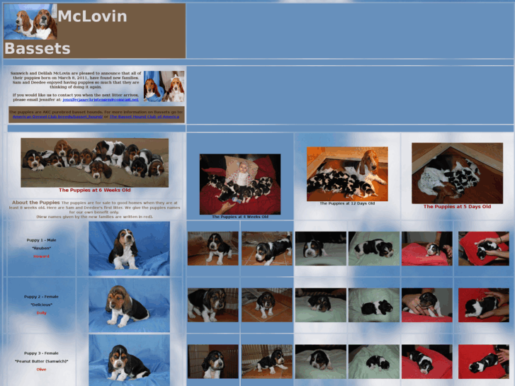 www.mclovin-bassets.com