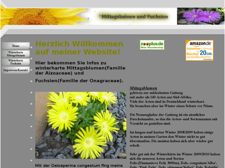 www.mittagsblumen.info