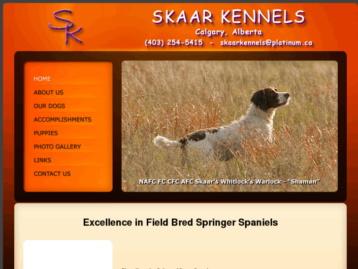 www.skaarkennels.com