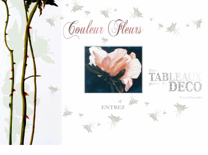 www.couleur-fleurs.fr