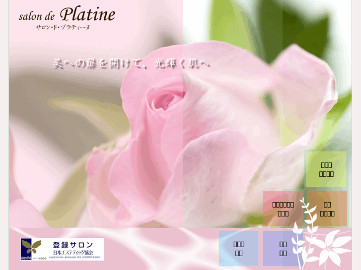 www.platine-esthe.com