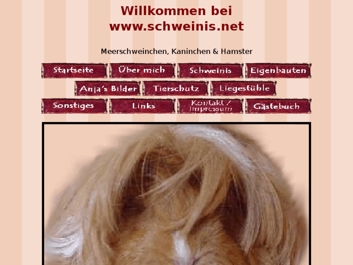 www.schweinis.net