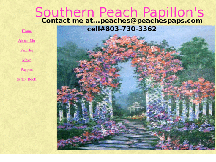 www.southernpeachpapillons.com