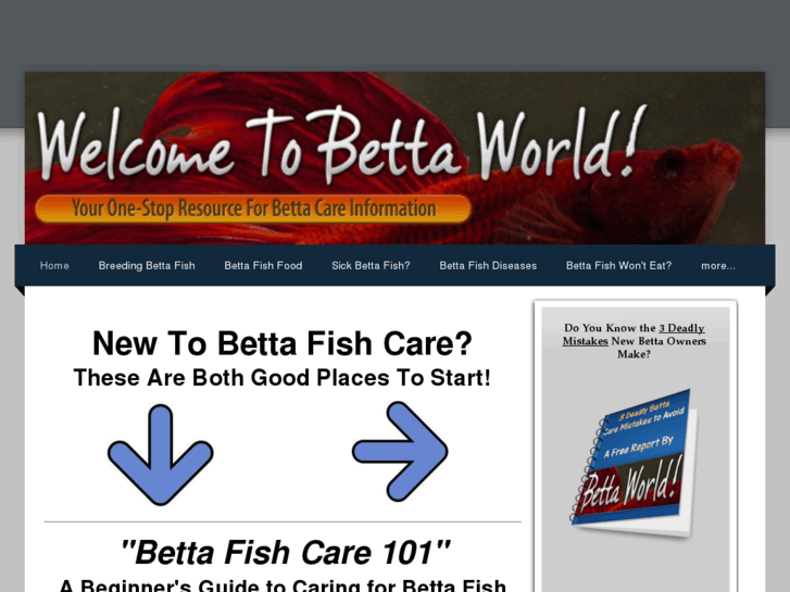 www.caringforbettafish.org