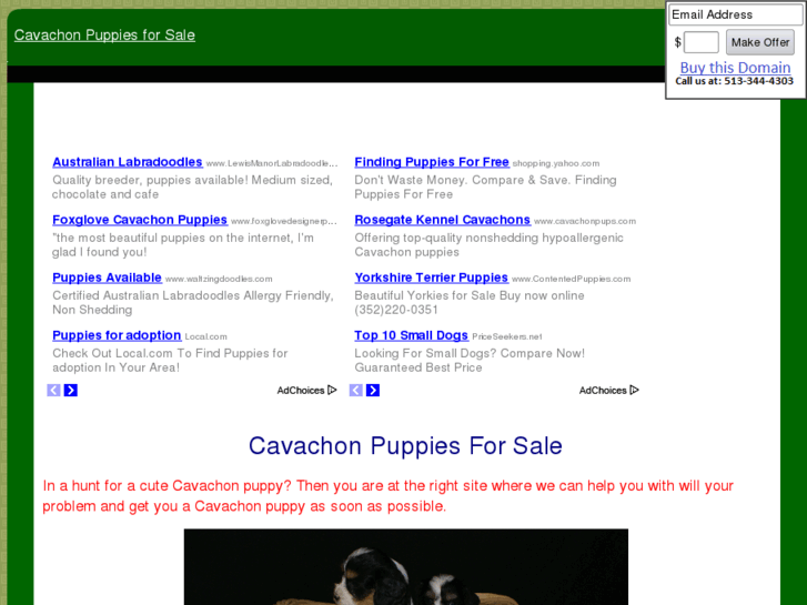 www.cavachonpuppiesforsale.com