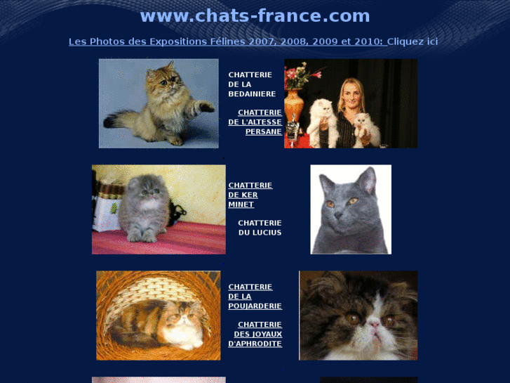 www.chats-france.com