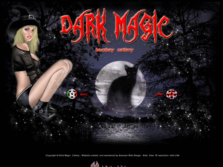 www.darkmagicbombays.com