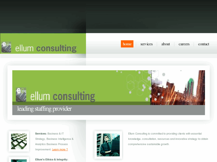www.ellumconsulting.net