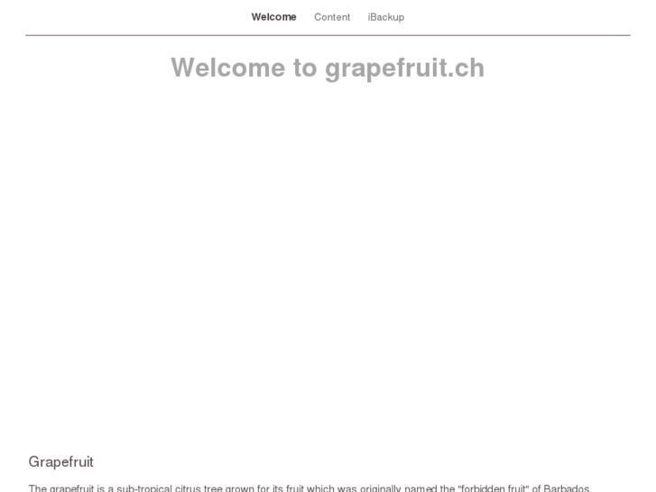 www.grapefruit.ch