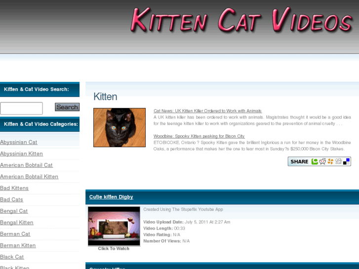 www.kitten-cat-videos.com