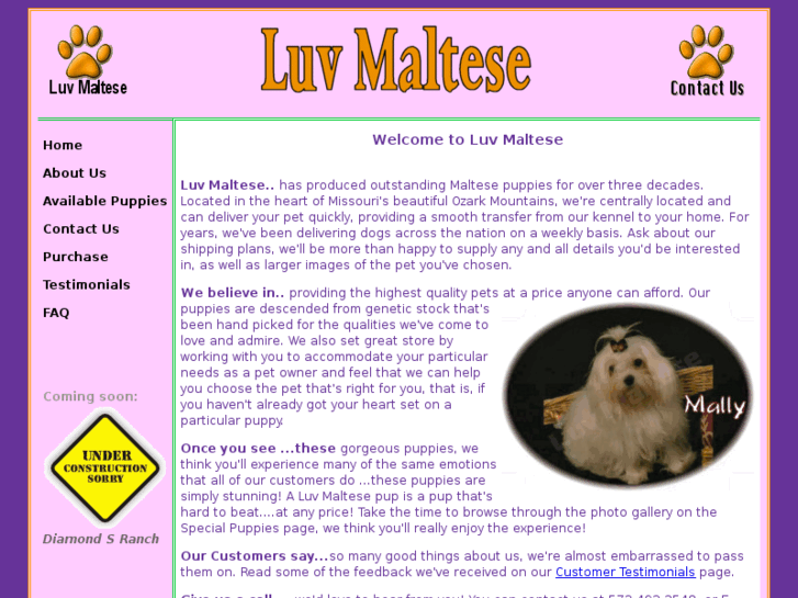 www.luvmaltese.com