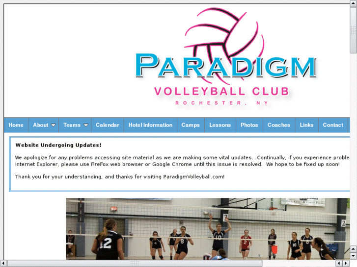 www.paradigmvolleyball.com