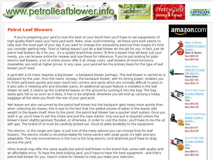 www.petrolleafblower.info