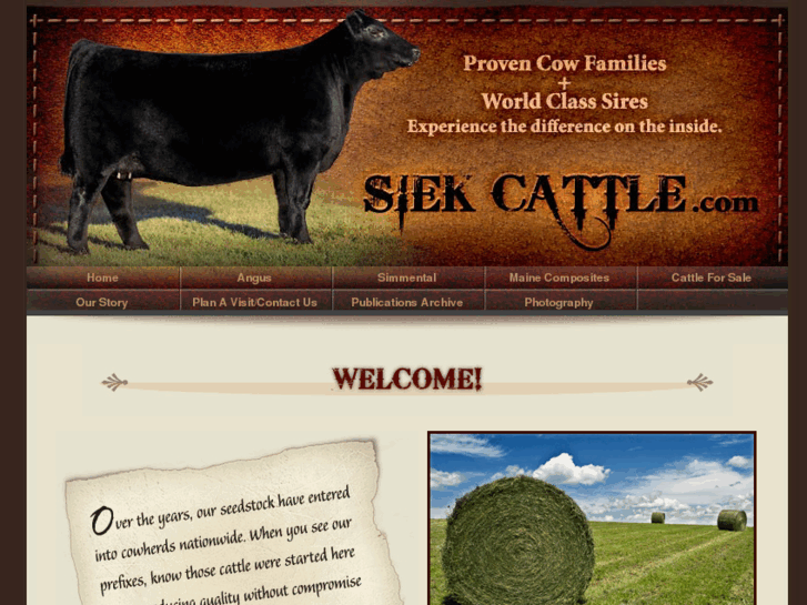 www.siekcattle.com