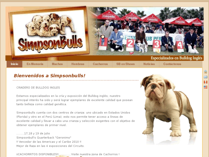 www.simpsonbulls.com