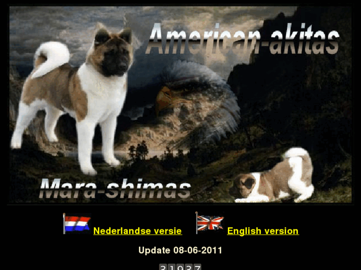 www.american-akitas.nl