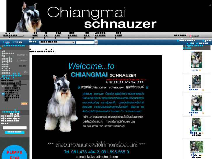 www.chiangmaischnauzer.com