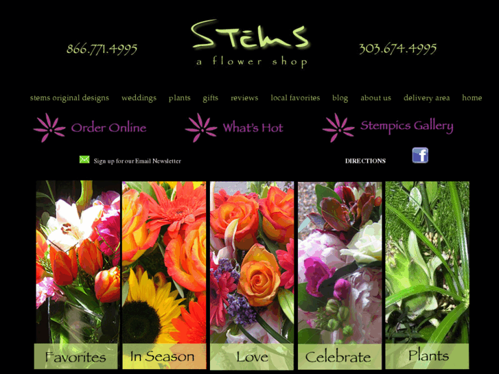 www.stemsaflowershop.com