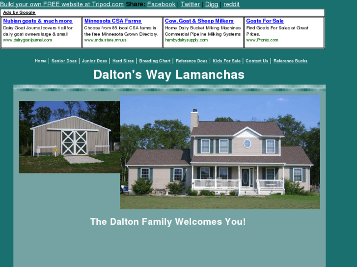 www.daltonsway.com