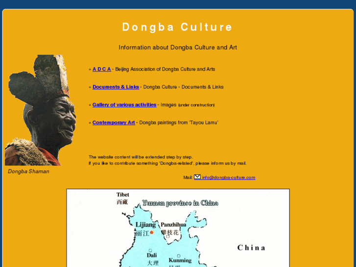 www.dongba-culture.com