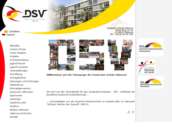 www.dsvalencia.net