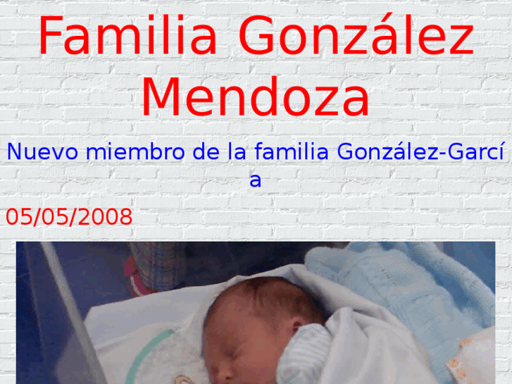 www.gonzalezmendoza.com