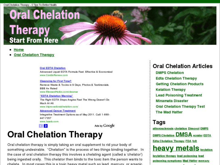 www.oralchelationtherapy.org