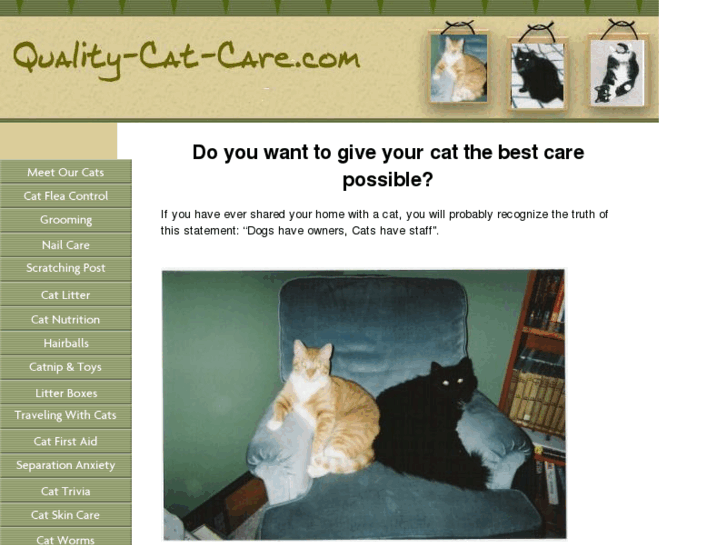 www.quality-cat-care.com