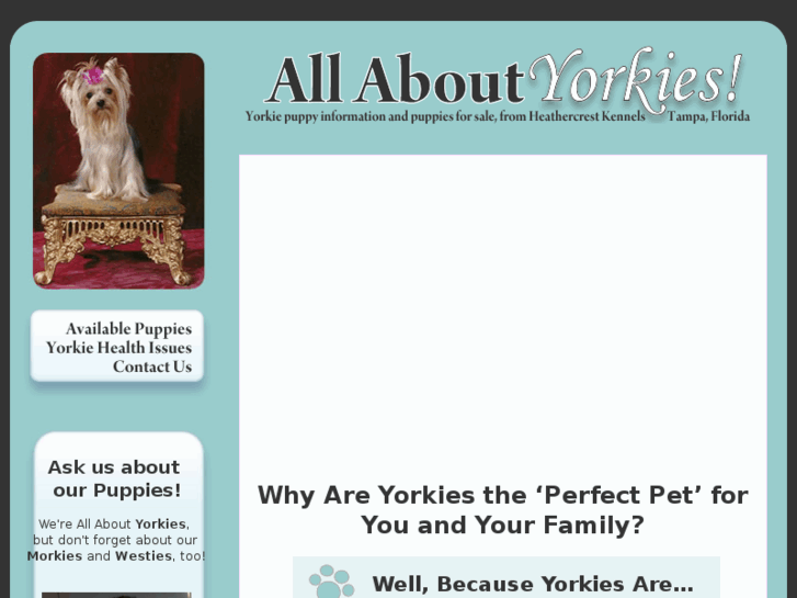 www.yorkiepuppiestampa.com