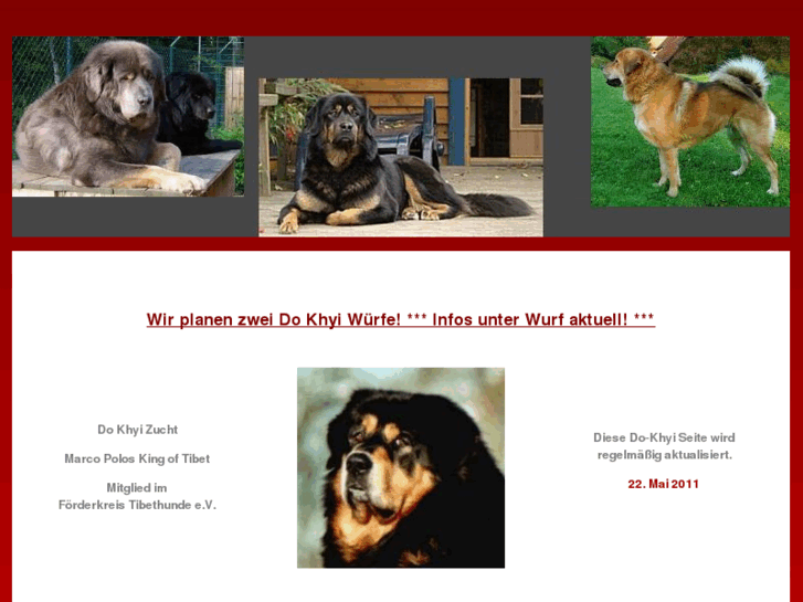 www.do-khyi-marcopolos.de