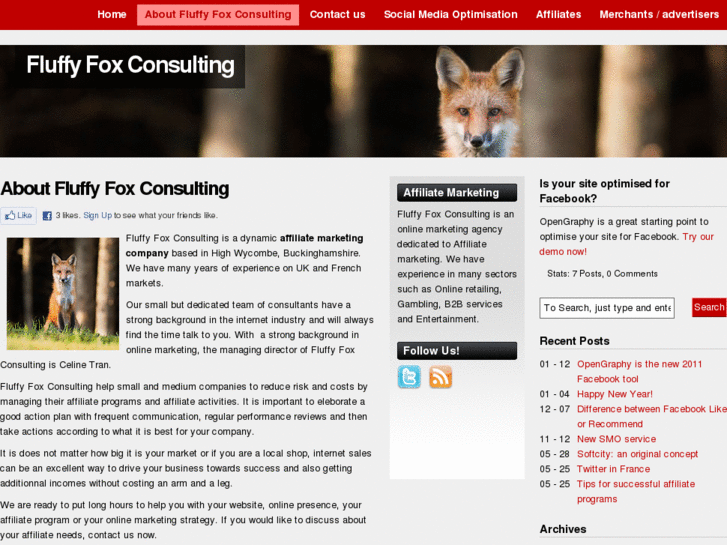 www.fluffyfoxconsulting.co.uk