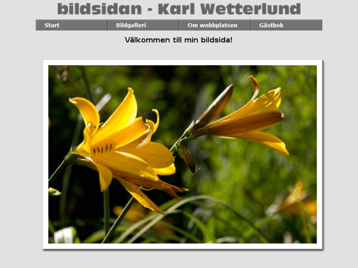 www.bildsidan.net