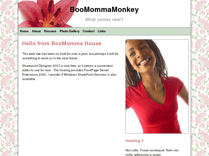 www.boomommamonkey.net