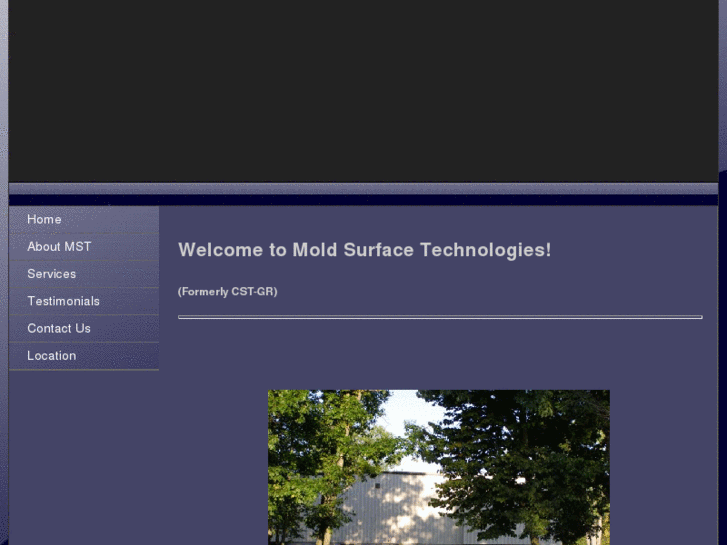 www.moldsurfacetech.com